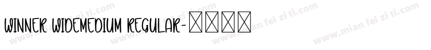 Winner WideMedium Regular字体转换